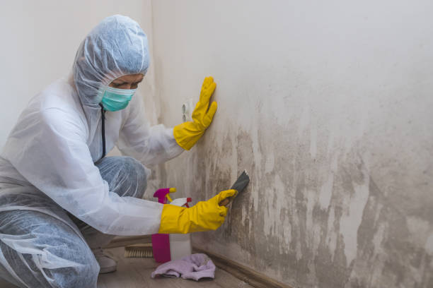Best Mold Remediation for Specific Building Types in Oakley, CA